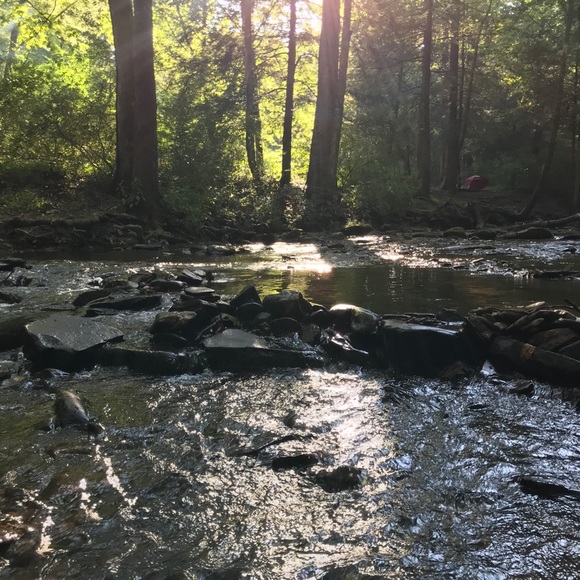 Meet your Posher, L - Picture 2 of 2